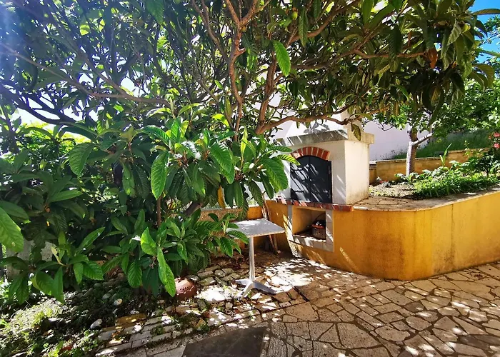 Lidija * 诺维·维诺多尔斯基